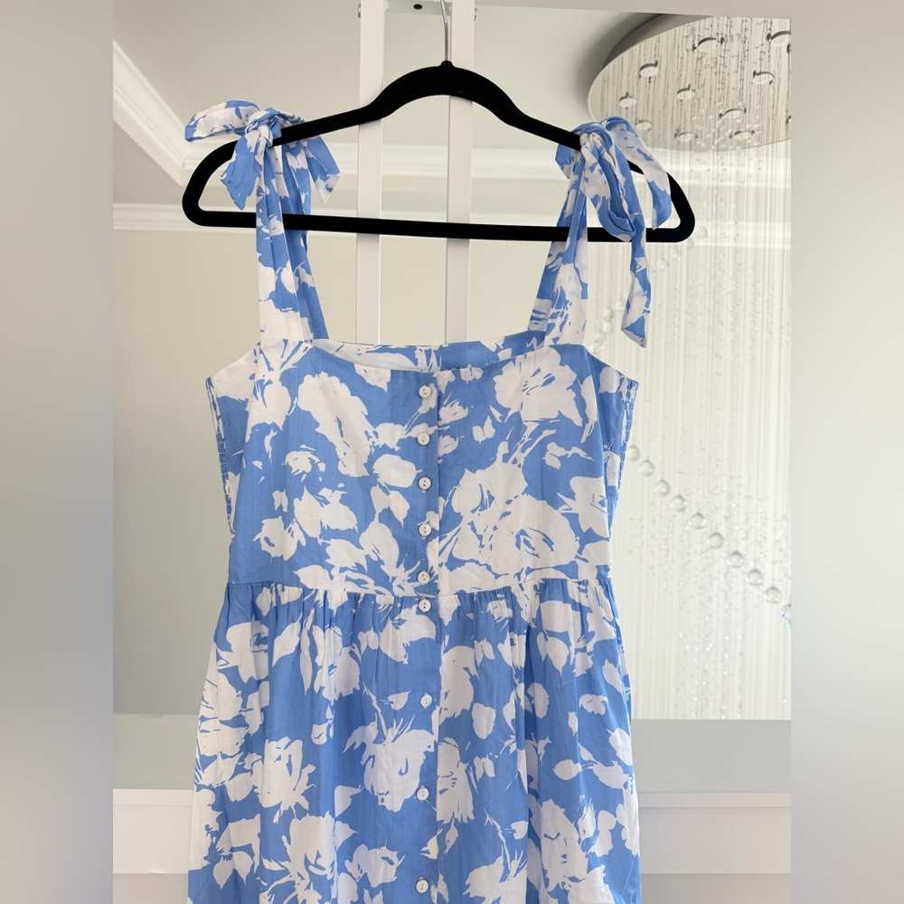 Tuckernuck Hyacinth House Blue and White Dress - Picture 6 of 11